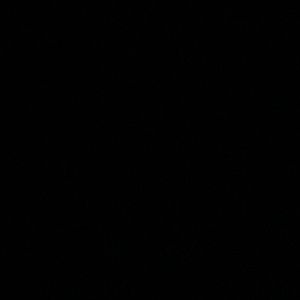 Meet your Posher, Lakeitha